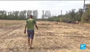 Vidéo : un convoi de l'armée ukrainienne détruit dans l'est de l'Ukraine