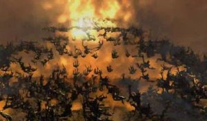 Kingdom Under Fire II - Trailer E3 2014 PS4