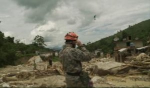 Brésil: L'armée au secours des victimes des inondations