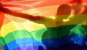 Cameroun:  deux hommes condamnés à de la prison pour homosexualité