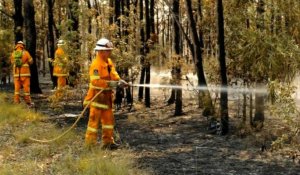 Australie: accalmie sur le front des feux de brousse
