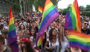 Gay Pride: à Lyon les manifestants veulent plus que le mariage
