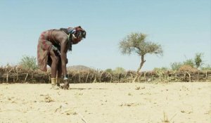 La Namibie face à sa pire sécheresse en 30 ans