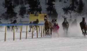 Le Skijoring: sport chic et choc à Saint-Moritz