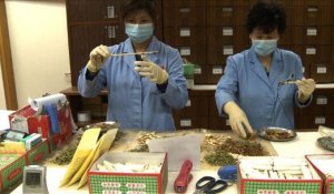 Hong Kong: la médecine chinoise s'adapte à la vie moderne