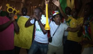 CAN 2013 : le Mali sort l'Afrique du Sud et file en demies
