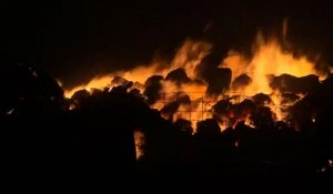 Etats-Unis: explosion dans une usine d'engrais au Texas