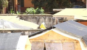 Fièvre Ebola en Guinée: "une épidémie sans précédent"