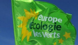 Les écologistes s'écharpent après le refus d'EELV de participer au gouvernement