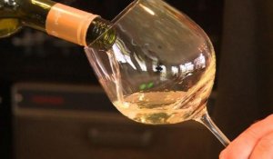 Le Torrontés, vin blanc venu d'Argentine