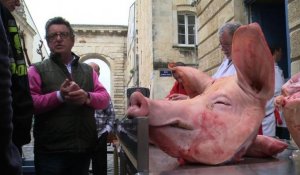 "La Tue-Cochon" à Bordeaux : tradition paysanne en centre-ville