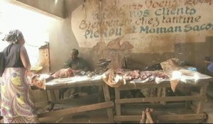 Vidéo : "La crise alimentaire risque de durer" en Centrafrique