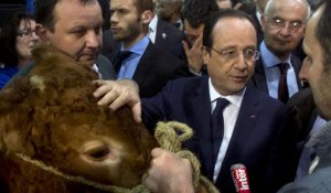 Salon de l'agriculture : inauguration dans le calme pour François Hollande