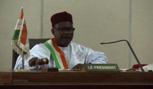 Boko Haram : le Niger lance l'offensive au Nigéria