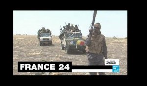 Exclusif : l'armée tchadienne confiante face à Boko Haram après la bataille de Dikwa