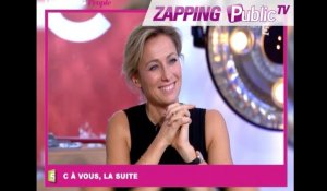 Zapping Public TV n°838 : Anne-Sophie Lapix : "Tout passe dans la bouche d'Adriana Karambeu !"