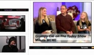 Ecrans.fr, le podcast en streaming - Minute mème : Grumpy Cat