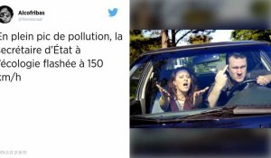 En plein pic de pollution, la voiture de la secrétaire d'État à l'Écologie prise en excès de vites