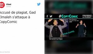 Gad Elmaleh fait supprimer de Twitter les vidéos l'accusant de plagiat