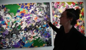 Antoine Watel, étudiant artiste, expose au musée Matisse ("La créativité demande du courage") du Cateau Cambrésis