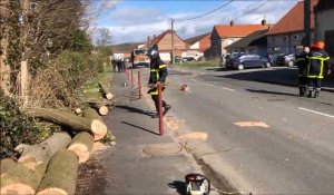 Chute d'un arbre rue de Cassel à Racquinghem