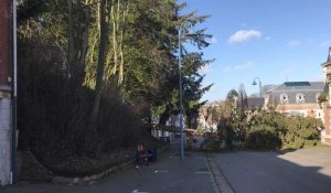 Tempête : un arbre s'écrase boulevard Gambetta à Saint-Pol