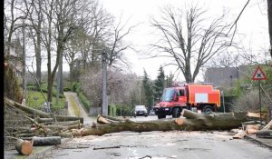 Une quarantaine d'interventions urgentes en raison de la tempête à Namur