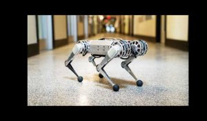 Cheetah, le robot du MIT, sait faire des salto arrière