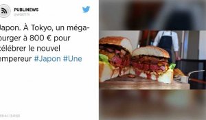 Japon. À Tokyo, un méga-burger à 800 € pour célébrer le nouvel empereur