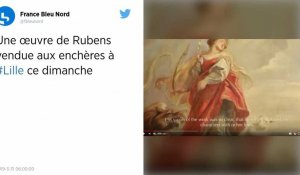 Une esquisse de Rubens vendue 1,3 million d'euros aux enchères à Lille