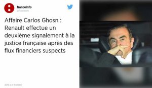 Affaire Carlos Ghosn. Renault signale de nouveaux éléments à la justice