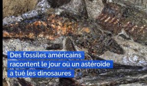 Paléontologie : Des fossiles américains racontent le jour où un astéroïde a tué les dinosaures