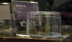 Canada: les premiers magasins de cannabis ouvrent en Ontario