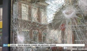 Justice : Prison requise contre des militants vegans