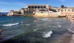 À  Marseille, on se jette déjà à l'eau plage des Catalans