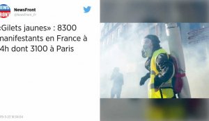 Gilets jaunes : 8 300 manifestants en France, 70 interpellations à Paris, des heurts en régions
