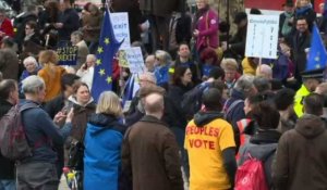 Londres: manifestation anti-Brexit devant le Parlement