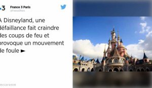 Scène de panique à Disneyland Paris après une fausse alerte