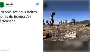 Crash d'Ethiopian Airlines. Les boîtes noires du Boeing 737 Max vont être analysées en Europe