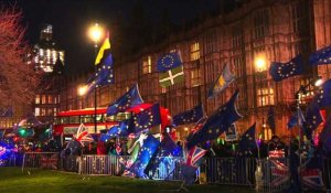 Pro- et anti-Brexit fêtent la défaite de May au Parlement