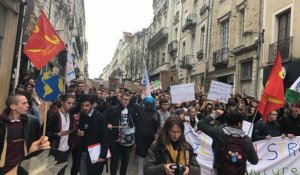 Angers. Grève pour le climat : la jeunesse dans les rues