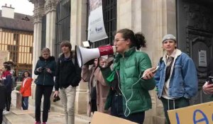 Marche pour le climat : les lycéens troyens demandent «la déclaration de l'état d'urgence climatique»