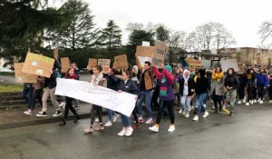 Mayenne. Plus de 200 lycéens marchent pour le climat
