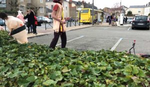 Sablé. Les lycéens ramassent les déchets