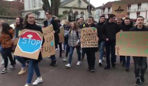 Une centaine de lycéens marchent à Bar-sur-Aube 