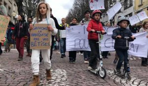 Lorient. 1 500 participants à la Marche pour le climat 