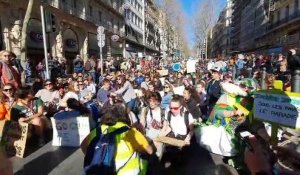 Marseille : les manifestants pour le climat improvisent un sit-in sur la Canebière