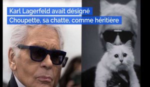 Karl Lagerfeld avait désigné Choupette, sa chatte, comme héritière