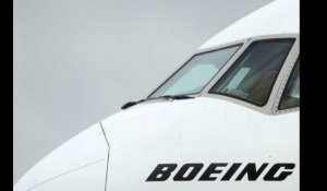 Boeing 737 Max. Crash de Lion Air : les pilotes ont appuyé plusieurs fois sur le bon bouton, mais...