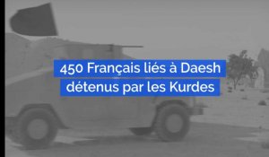 Syrie : 450 Français liés à l'EI détenus par les Kurdes